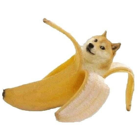 香蕉狗▽热狗▽甜甜狗圈▽面包狗系列表情包很快就延伸出了满汉全狗.