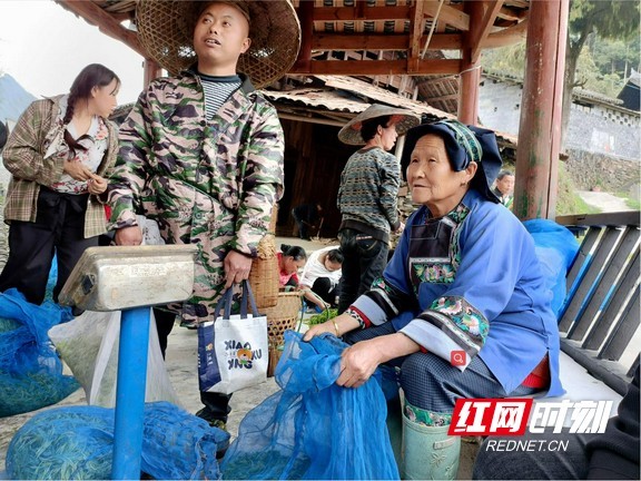 时刻湘西3月17日讯(通讯员 彭怡 谭水元)近日,在吉首市己略乡夯坨村