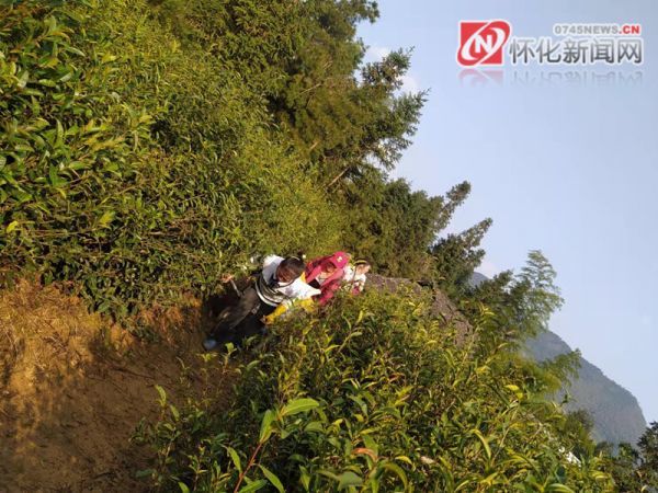 在洗马乡稠树脚村,10余名党员和志愿者平整土地,锄草