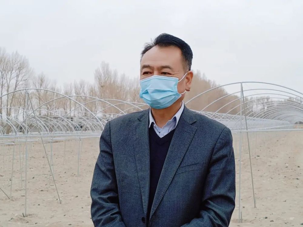 金塔县人大常委会主任曹彦军督导调研中东镇三春生产和疫情防控等工作