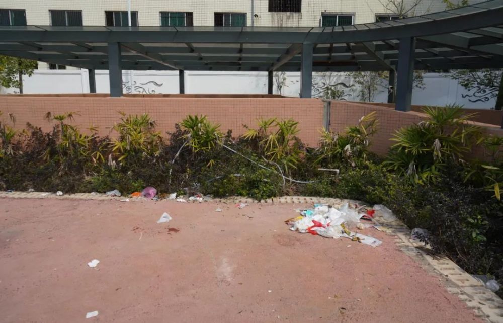 再曝光东校场体育公园垃圾遍地环境脏乱