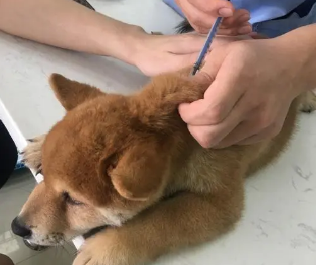 腾讯内容开放平台