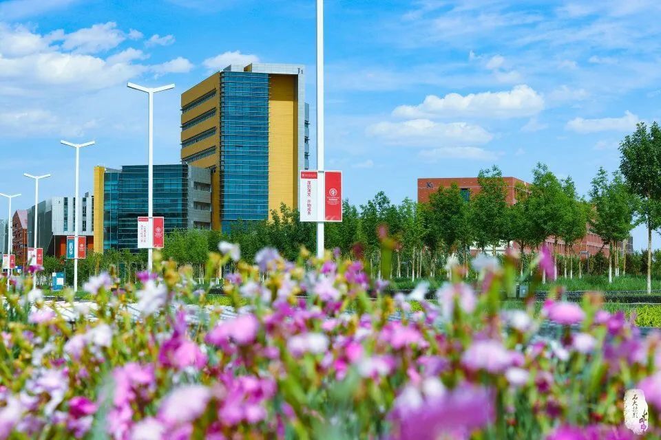 中国石油大学(北京)克拉玛依校区2022年硕士研究生预调剂公告_幼儿