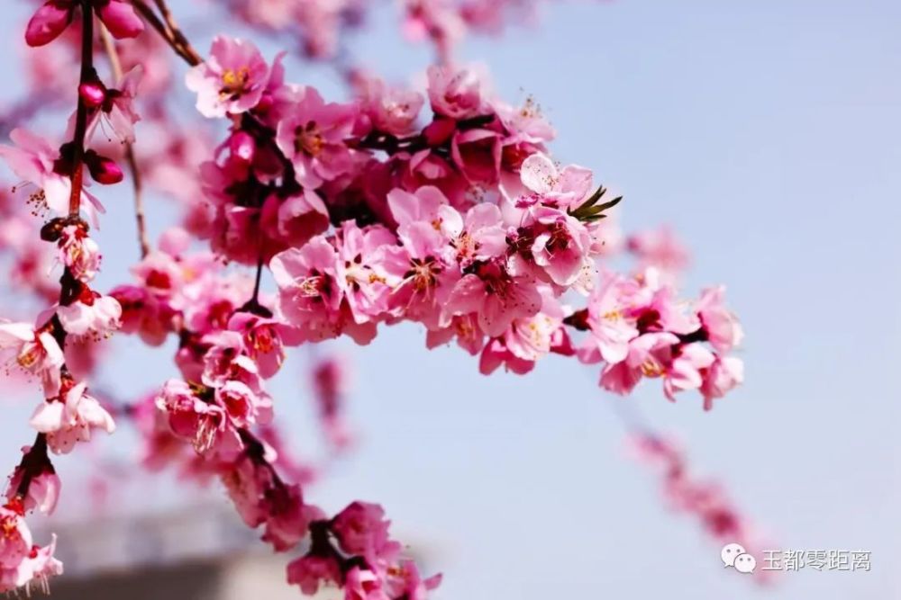 提编辑:闫兆霞,许玲玲编审:闫兆霞,陈林审核:陈林终审:杨高翔,刘海雄