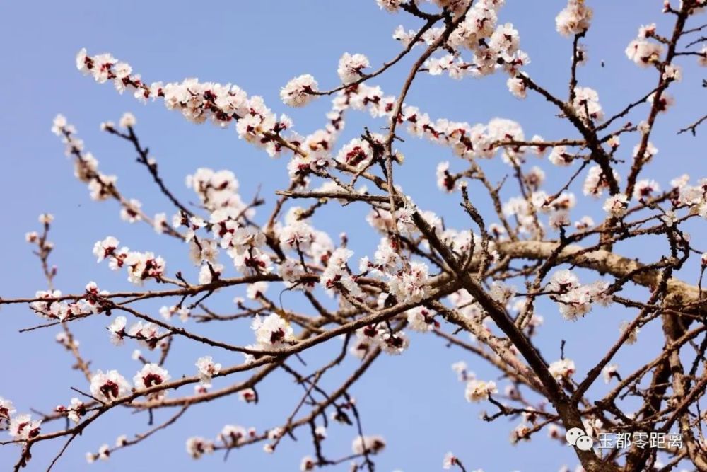 提编辑:闫兆霞,许玲玲编审:闫兆霞,陈林审核:陈林终审:杨高翔,刘海雄