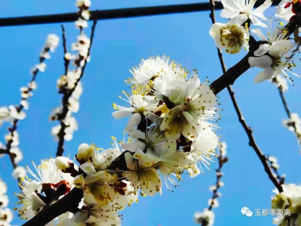 提编辑:闫兆霞,许玲玲编审:闫兆霞,陈林审核:陈林终审:杨高翔,刘海雄