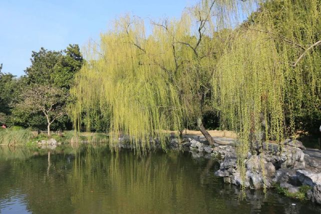 别解唐诗中的烟柳