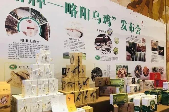 陕西农产品区域公用品牌展示略阳乌鸡