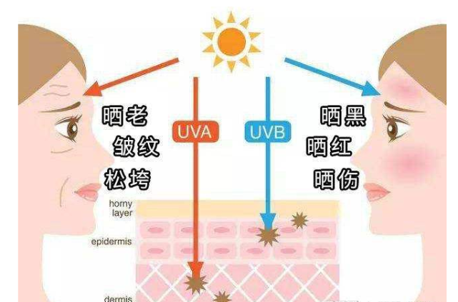 如何預防光老化教你一套3c神功