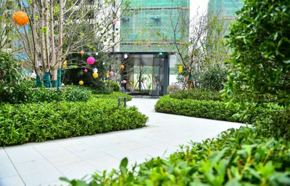 当绿城超越绿城看青州绿城兰园