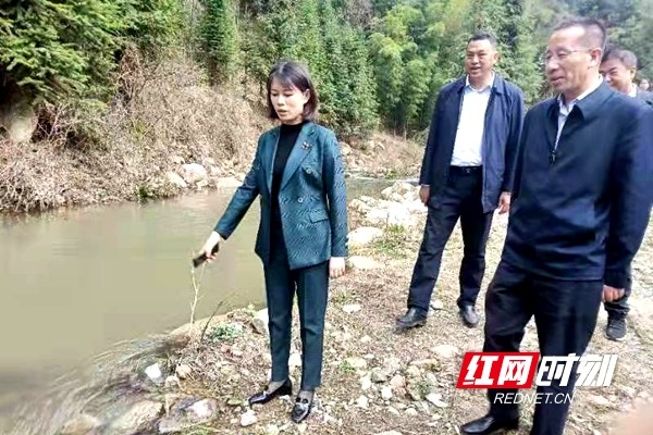 肖力夫)近日,城步苗族自治县委副书记,县长王慧敏赴茅坪镇开展巡河