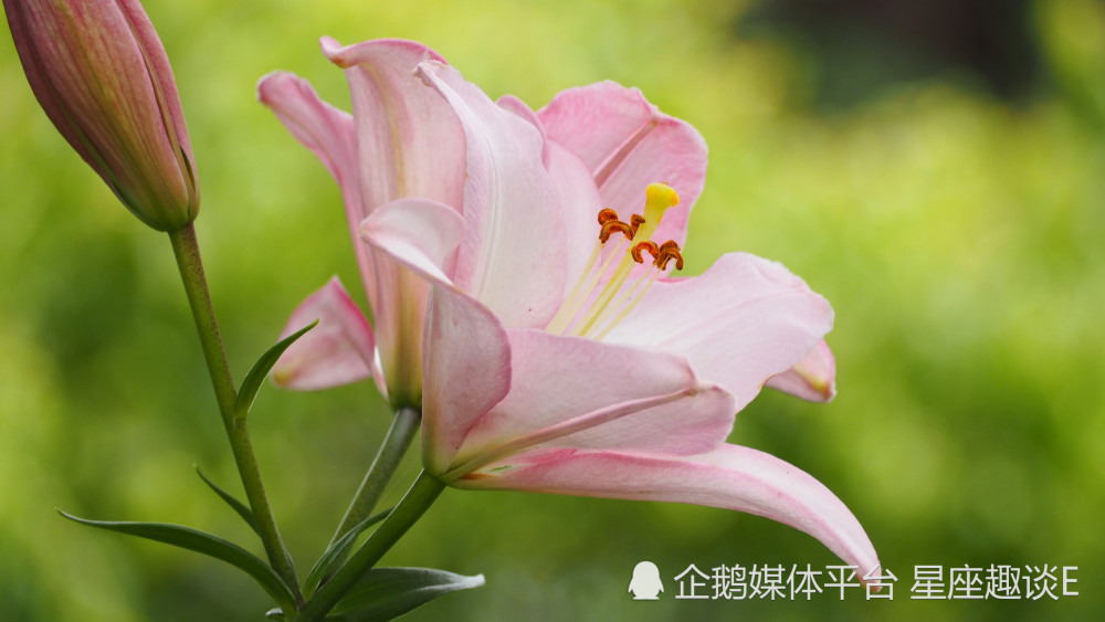 3月19日星座运势 足智多谋 成绩愤然的四大星座 天天看点