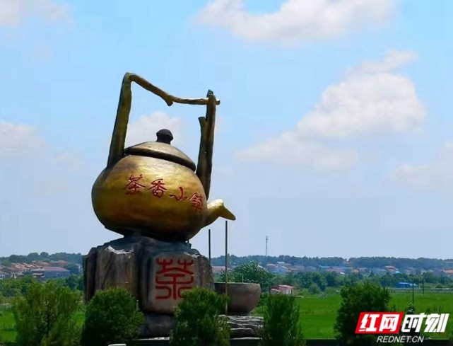 风含香气花月雨雾放遒枝洞庭茶岳阳县黄沙街茶香小镇发展纪实