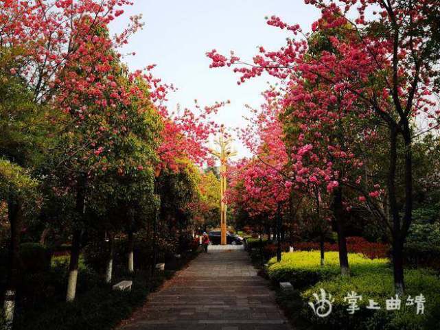 沾益城区春和景明