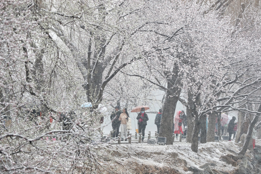 北京：春日迎降雪天气职场进阶手册