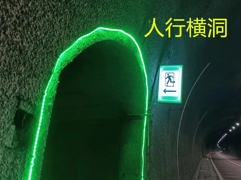 应当迅速按照隧道内避险设施指示牌寻找避险处,如人行横洞,车行横洞等