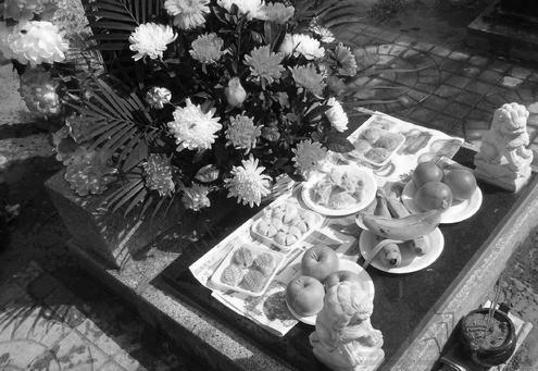 《中卫记忆》三月清明上坟