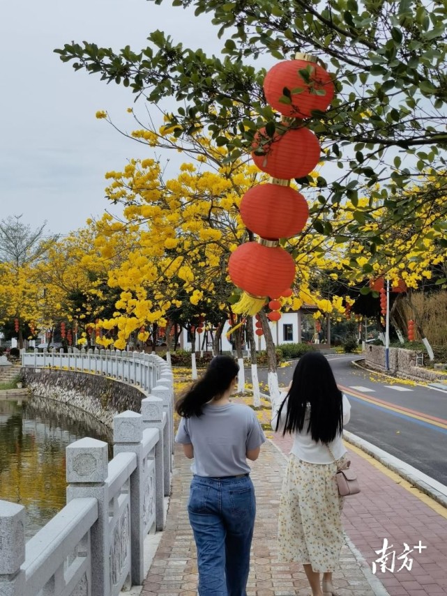 高州市石鼓镇旅游景点图片