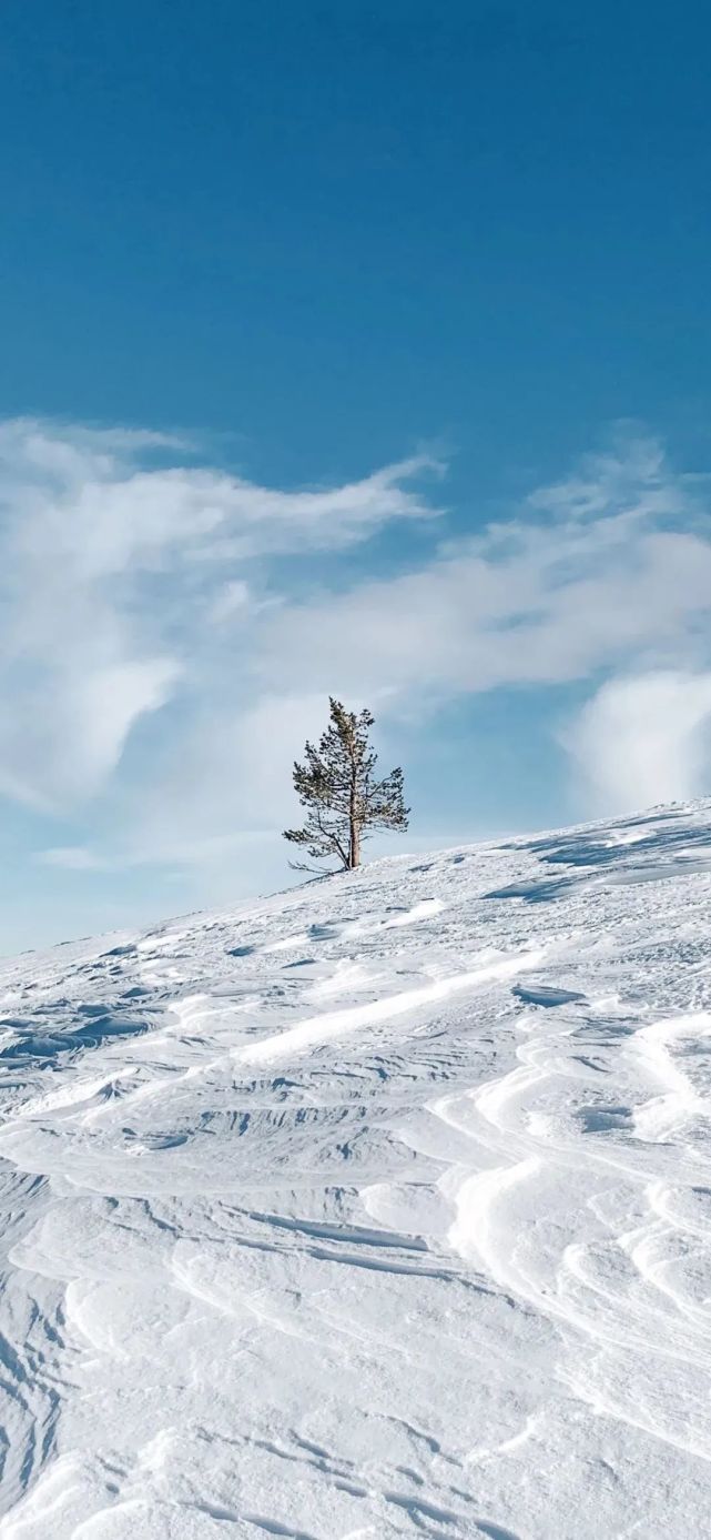 iphone壁纸|精美4k壁纸大图