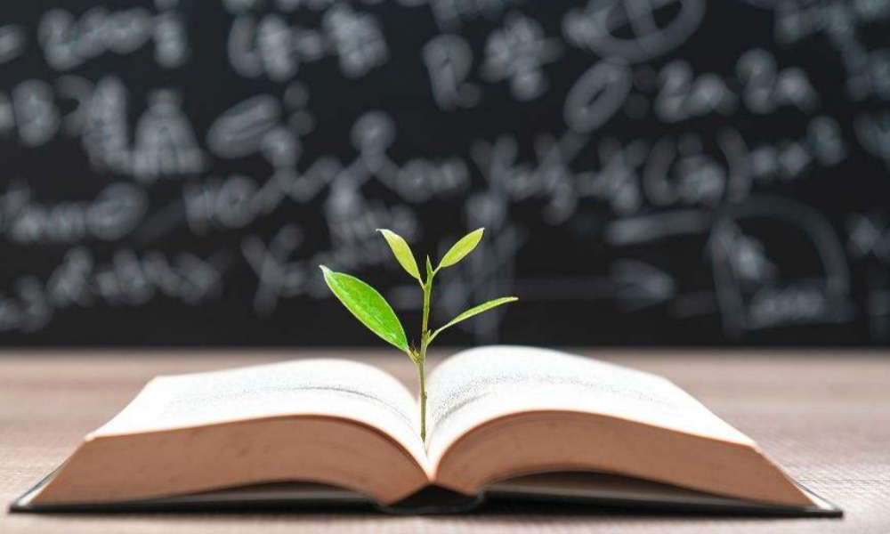 清明小长假！初三中考资料，模考复盘的简单介绍