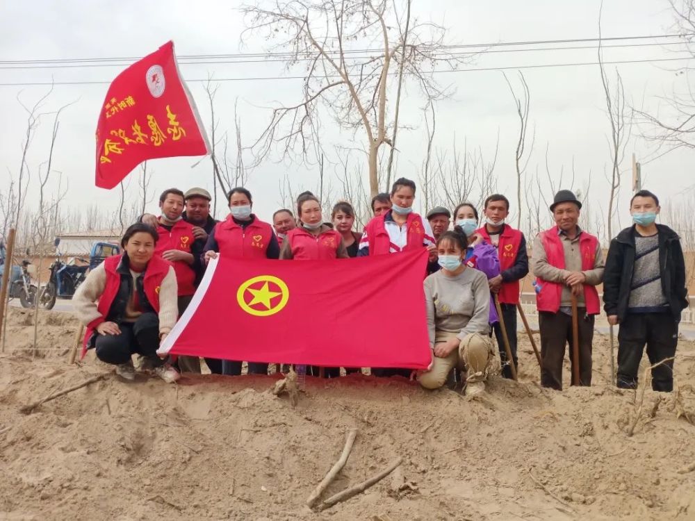 (疏勒縣團委)(莎車縣團委)(英吉沙縣團委)(嶽普湖縣團委)此次植樹活動