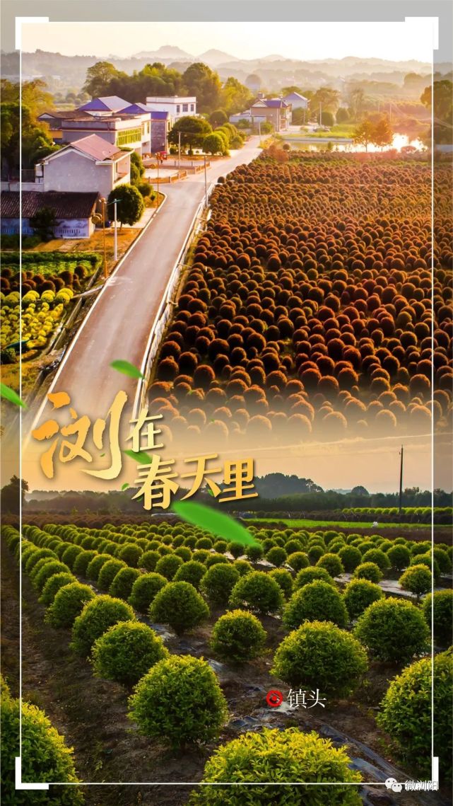 641_1139竖版 竖屏