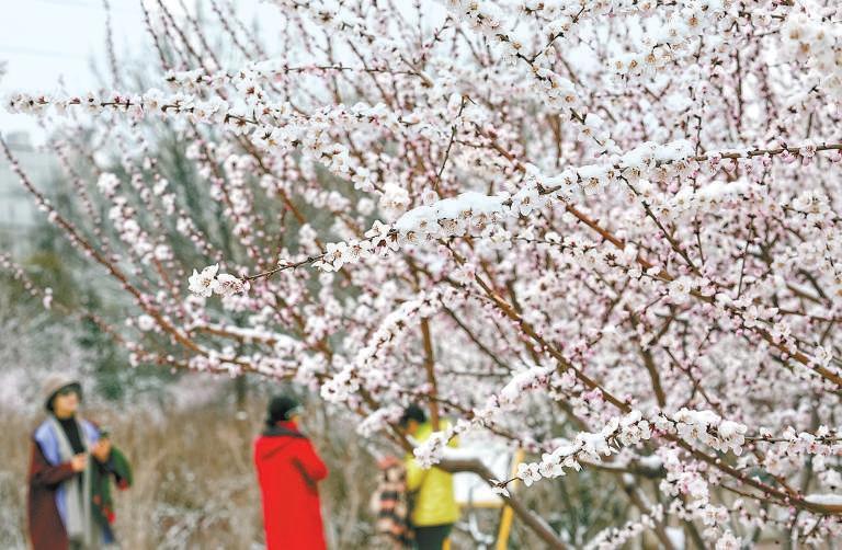 广东地市纲要北京市飞雪审查局长级新变化郯城凹凸教育