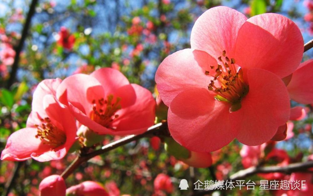 3月19日 25日星座运势 才思敏捷 突飞猛进的四大星座 天天看点