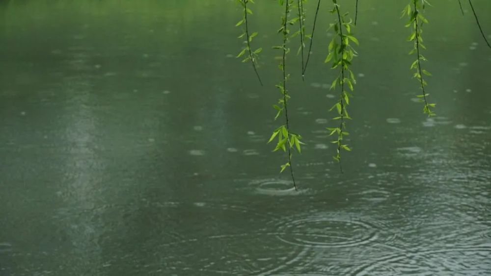 春風春雨春柳古詩詞中最美的春天請收藏