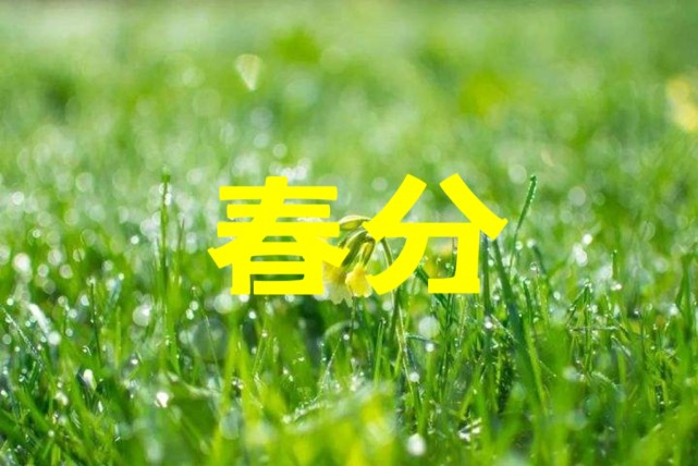 天气预报:春分遇下雨天气有什么征兆,看看老话怎么说