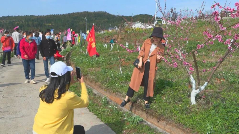 我只發這一次週末踏青去桃博園這裡有2000餘畝桃花盛開