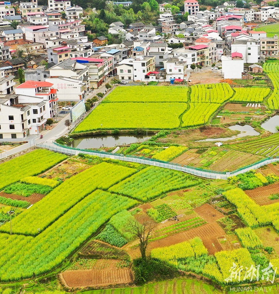 3月18日,道县梅花镇贵头村,村落,河流与田园相映成趣,构成一幅美丽