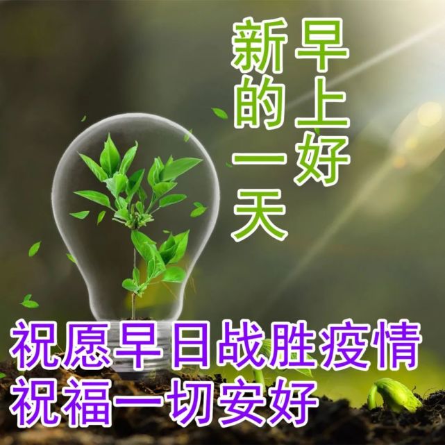 非常时期早安问候图片图片