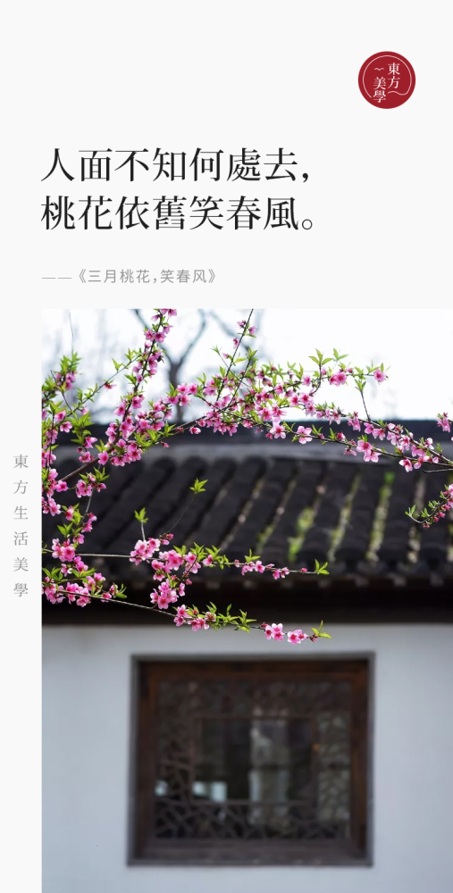 三月桃花 笑春风 天天看点