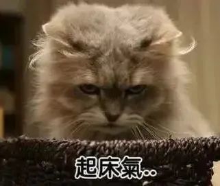 "起床气"在气什么?从哪里来?不想晨起发大火,这一点很重要