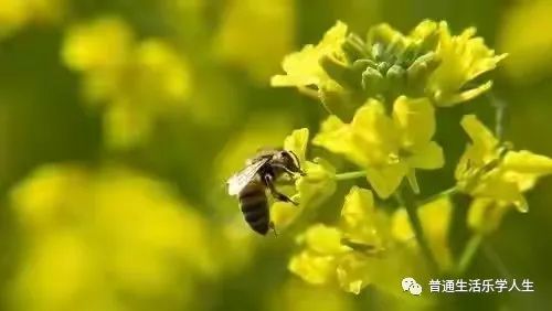 人生如做菜 煎 和 熬 都是变美味的方式 加油 也一样 腾讯新闻