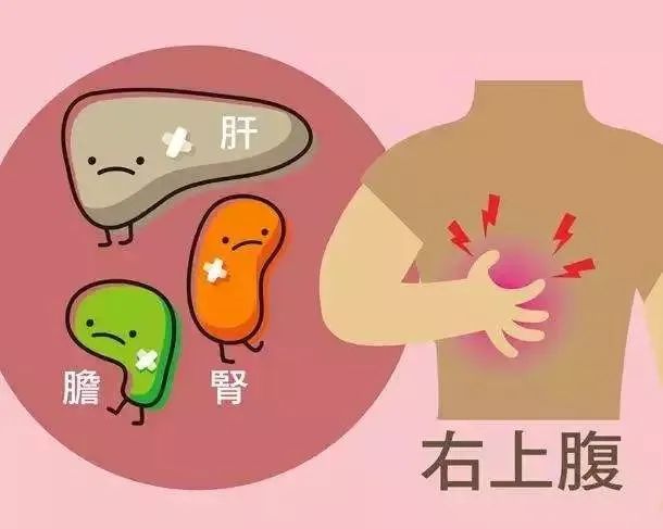 孕妇肝区疼痛位置图图片