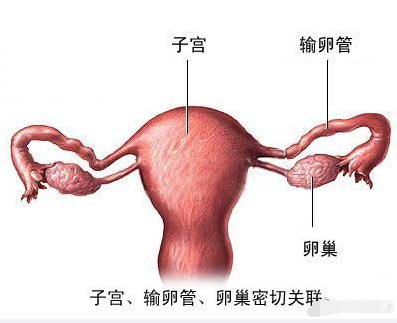 通水是通过医生手推注药液时阻力大小及液体返流的情况,判断输卵管