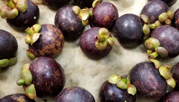 山竹是什么季节的水果几月份大量上市