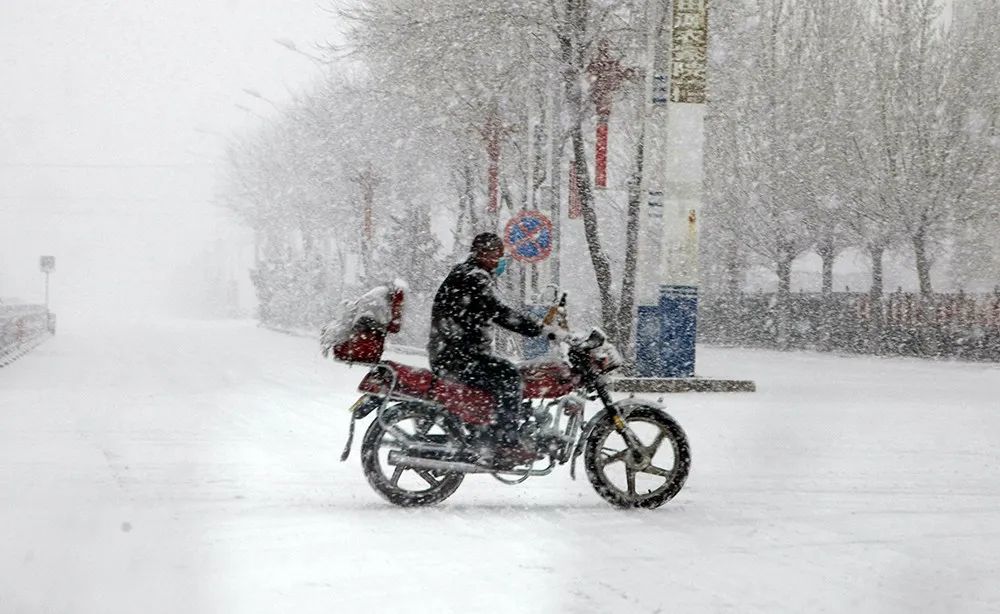 雪中张北骤雪初霁惊鸿照影