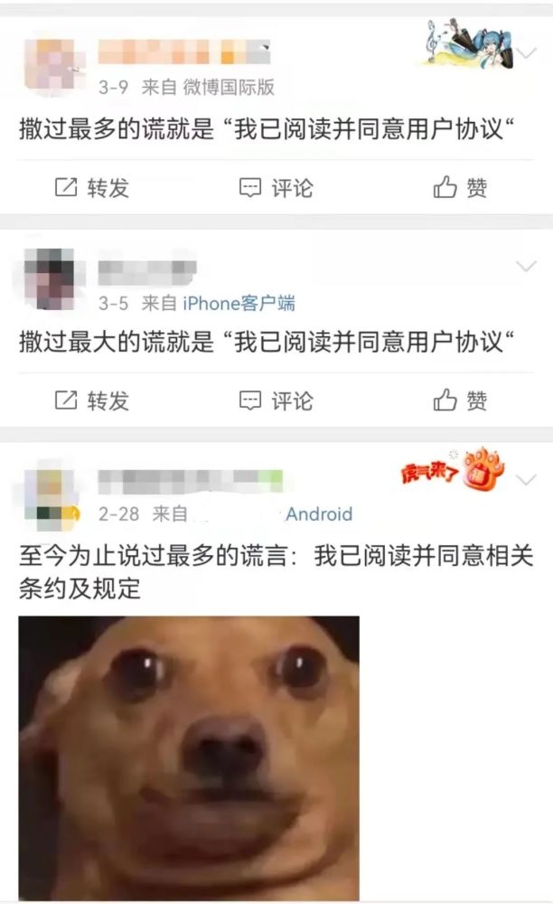 用户|篇均3万字比论文还长！网友：“已阅读并同意”是我撒过最多的谎