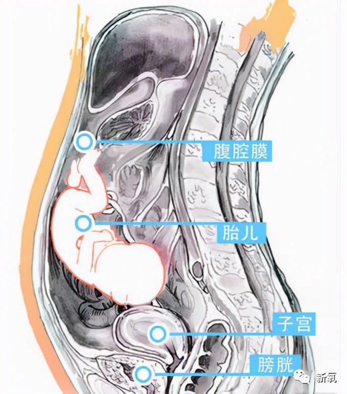 怀孕的男人?_腾讯新闻