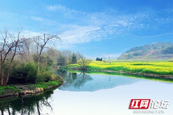 【每日一图@湖南】春风又绿蒸水岸,遇见邵东佘田桥最美田园
