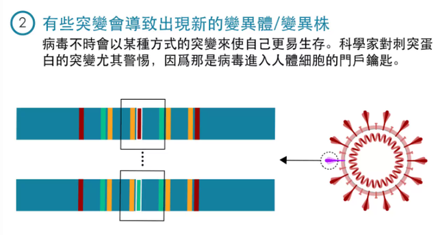 奥密克戎亚型变异株ba.2:大流行疫情结束的开端?