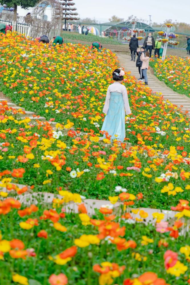 全家出遊踏青賞花實測這個地方很可