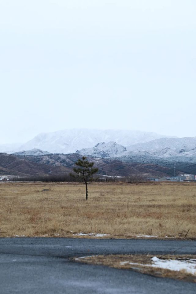 青城三月雪