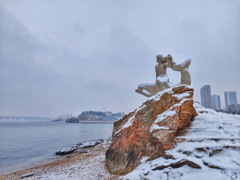 三月的春天下雪啦看看大連的雪景吧