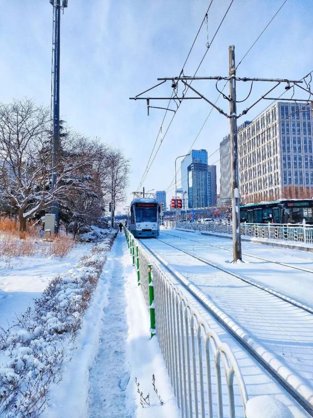 大连下雪图片真实图片