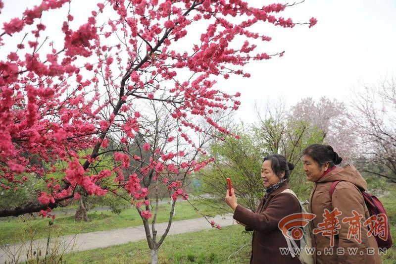 西安植物园免费开放时间(西安植物园开放时间及门票)