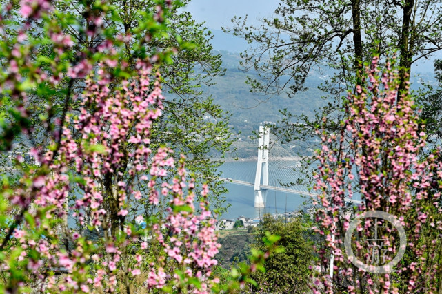 春日插旗山 鸟瞰涪陵美景如画